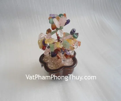 Cây đá mã não đỏ, chậu vuông nhỏ CA216