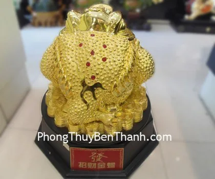 Thiềm thừ vàng kim, bắp cải xoay lớn- Chiêu tài kim thiềm E058